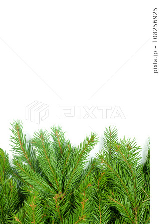 Christmas background. Eve framework 108256925
