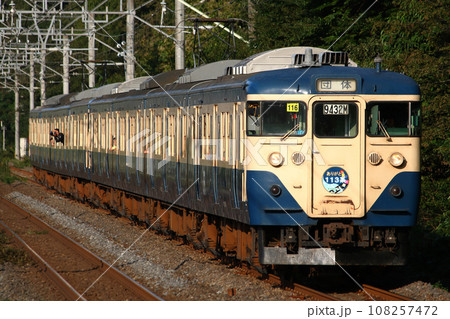 THE FINAL!! 113! 総武本線・成田線コース（113系幕張車：団体臨時列車） 108257472