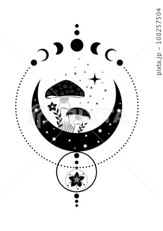 Celestial Mystical boho mushrooms, magic Amanita Muscaria with moon and stars, witchcraft symbol, witchy esoteric logo tattoo, Moon Phase, floral elements fungi, fungus. Esoteric wiccan clipart  108257504