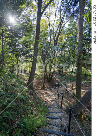 今城址の景色 今城址の景色 108257605