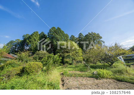 今城址の景色 108257646