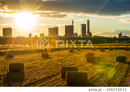「埼玉県」見沼田んぼの夕景 稲わらロール 「埼玉県」見沼田んぼの夕景 稲わらロール 108258012