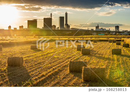 「埼玉県」見沼田んぼの夕景　稲わらロール 108258013