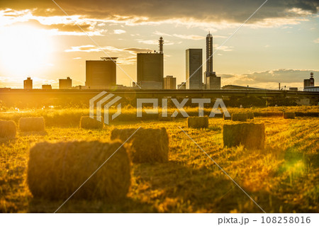「埼玉県」見沼田んぼの夕景 稲わらロール 「埼玉県」見沼田んぼの夕景 稲わらロール 108258016
