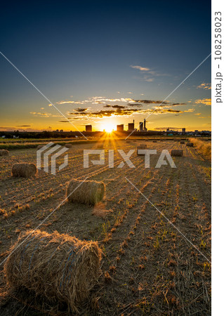 「埼玉県」見沼田んぼの夕景　稲わらロール 108258023