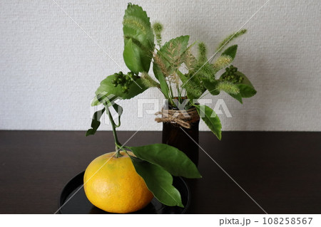 庭のミカンとグリーンの葉を飾る 庭のミカンとグリーンの葉を飾る 108258567
