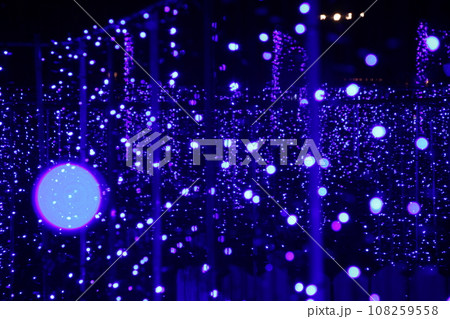 光の小道 光の小道 108259558