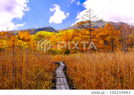 秋の武具脱の池周辺 108259963