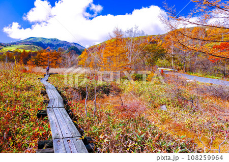武具脱の池周辺の紅葉 武具脱の池周辺の紅葉 108259964