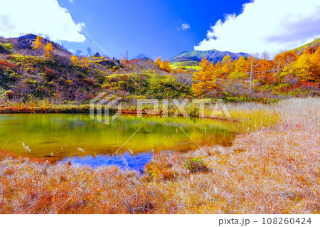 紅葉と武具脱の池 108260424