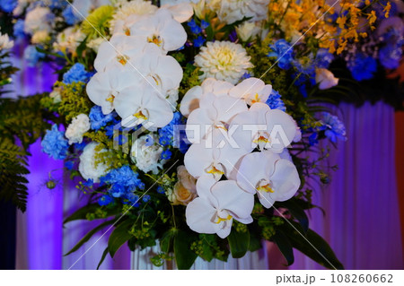 供花 供花 108260662