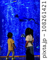 水族館でエイを見る子供 108261421