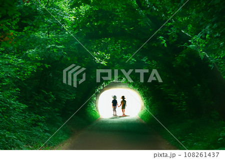 森のトンネルを抜ける子供たち　AI生成画像 108261437