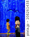 水族館でエイを見る子供 108261438