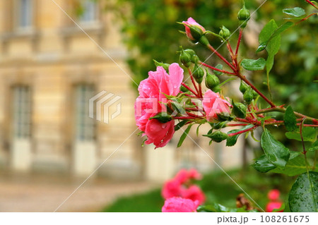 フランスパリ郊外 ブルボン王朝の中心で世界文化遺産ヴェルサイユ宮殿のプチトリアノンのベルサイユのばら フランスパリ郊外 ブルボン王朝の中心で世界文化遺産ヴェルサイユ宮殿のプチトリアノンのベルサイユのばら 108261675