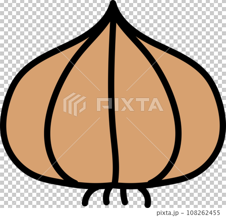 cute and simple onions 108262455