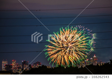 日本の東京都市景観4年ぶり多摩川花火大会。第45回世田谷区たまがわ花火大会の会場側・奥に都庁＝21日 108262543
