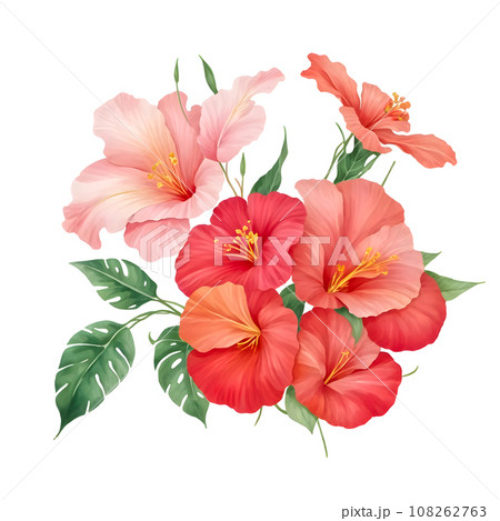 Watercolor set of pink and red hibiscus flowers 108262763