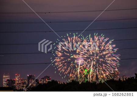 日本の東京都市景観4年ぶり多摩川花火大会。第45回世田谷区たまがわ花火大会の会場側・奥に都庁＝21日 108262801