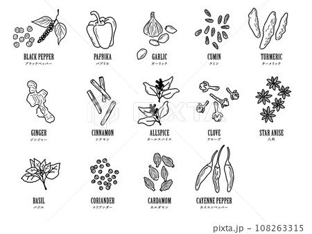 スパイス・カレースパイス 108263315