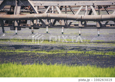 Green farm sprinkler automatic Watering machine Rice Field Green agriculture ecosystem Asian rice paddy field Thailand green farm. Harvest agriculture planting cultivation green rice terraces garden Green farm sprinkler automatic Watering machine Rice Field Green agriculture ecosystem Asian rice paddy field Thailand green farm. Harvest agriculture planting cultivation green rice terraces garden 108263819