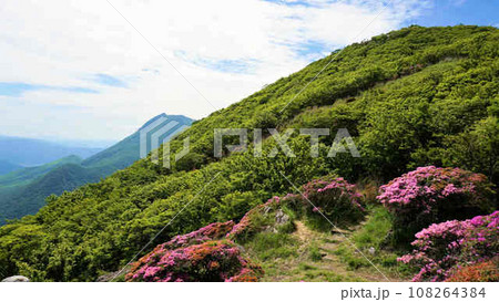 大分県鶴見岳山頂の風景 108264384