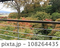 辻家庭園 108264435