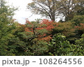 辻家庭園 108264556