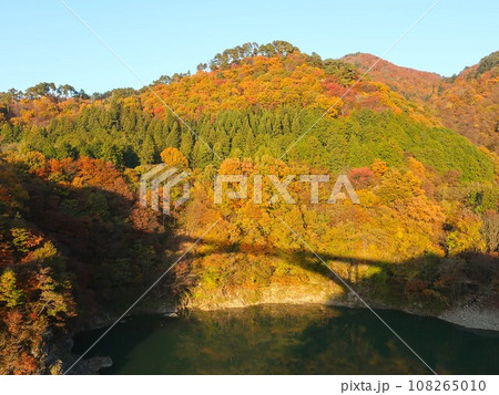 新潟県 関川村 丸山大橋からの橋の影と紅葉風景 新潟県 関川村 丸山大橋からの橋の影と紅葉風景 108265010