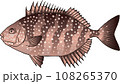 アイゴ アイゴ 108265370
