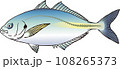 シマアジ シマアジ 108265373