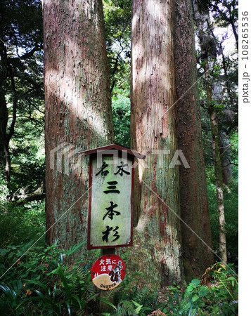 千葉県長生郡長南町笠森の笠森観音 108265536
