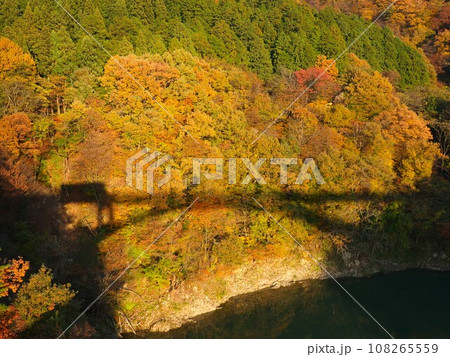 新潟県　関川村　丸山大橋からの紅葉風景と橋を渡る車の影 108265559