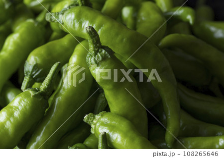 青唐辛子 108265646