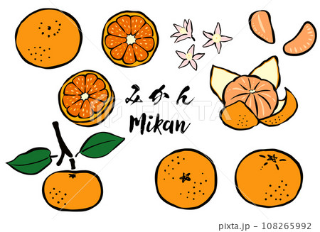 891/抽象画風/柑橘類/F10号 c1ed5a88c26ba83ac9f6eb833a9a57