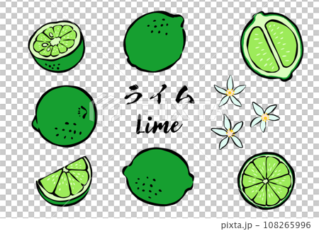 和風_筆タッチの柑橘類フルーツ_ライム 108265996