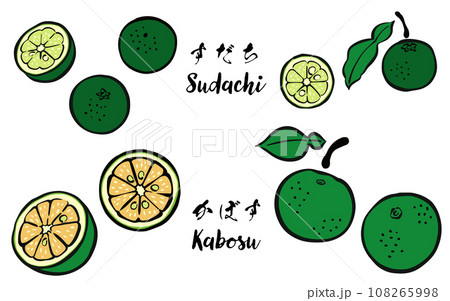 和風_筆タッチの柑橘類フルーツ_すだち、かぼす 108265998