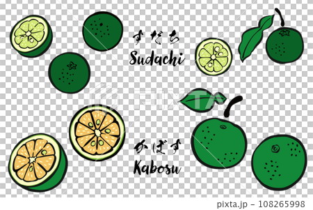 和風_筆タッチの柑橘類フルーツ_すだち、かぼす 108265998