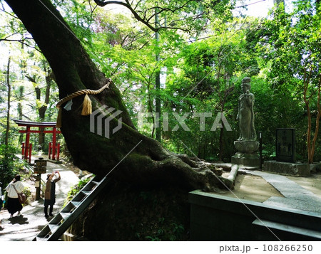 千葉県長生郡長南町笠森の笠森観音 千葉県長生郡長南町笠森の笠森観音 108266250
