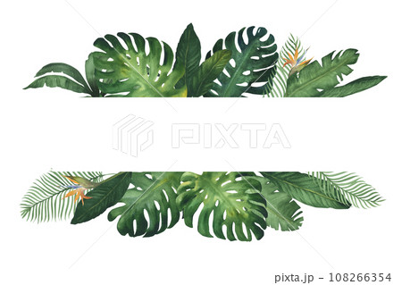 Watercolor illustration banner, frame or template composition of tropical monstera leaves. Green tropical plants, hand drawn, isolated 108266354