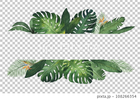 Watercolor illustration banner, frame or template composition of tropical monstera leaves. Green tropical plants, hand drawn, isolated 108266354