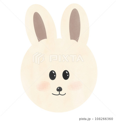 rabbit on white background 108266360