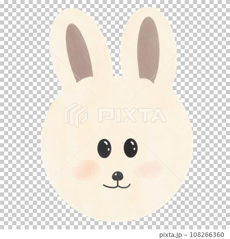 rabbit on white background 108266360