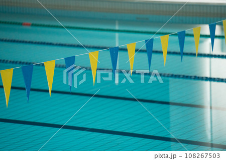 競泳プールの背泳用標識 108267503