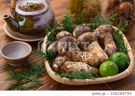 秋の味覚 高級食材の松茸 きのこ 和風イメージ まつたけ 108268793