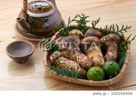 秋の味覚 高級食材の松茸 きのこ 和風イメージ まつたけ 秋の味覚 高級食材の松茸 きのこ 和風イメージ まつたけ 108268806