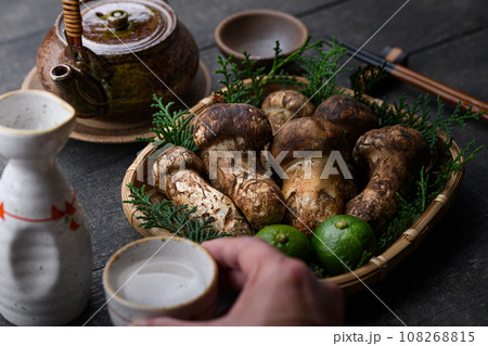 秋の味覚 高級食材の松茸 きのこ 和風イメージ まつたけ 秋の味覚 高級食材の松茸 きのこ 和風イメージ まつたけ 108268815