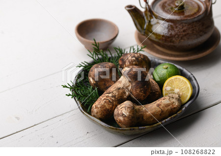 秋の味覚 高級食材の松茸 きのこ 和風イメージ まつたけ 秋の味覚 高級食材の松茸 きのこ 和風イメージ まつたけ 108268822