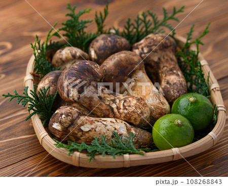 秋の味覚 高級食材の松茸 きのこ 和風イメージ まつたけ 108268843