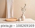 Beige ceramic vases with dry cotton branches. Stylish and minimalistic background for display your products in living room. Scandinavian interior. Modern home decor. Copy space. 108269169